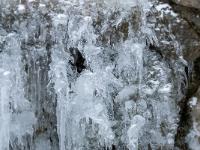 Eispanzer mit vielen länglichen Zapfen an Bachkaskade